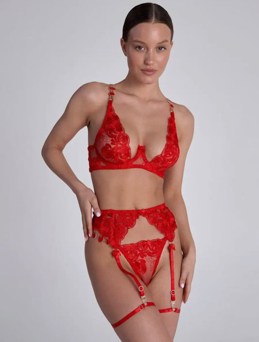Sensual luxury lingerie set with crystals on panties and bras